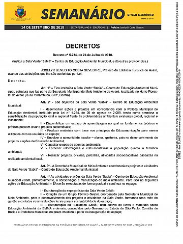 Semanário Oficial - Ed. 206