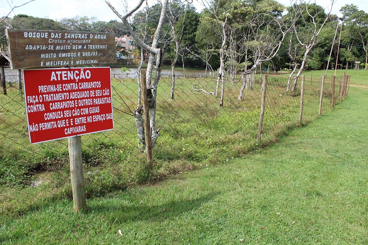 Cerca no Horto Florestal evita contato entre capivaras e frequentadores da reserva Cerca no Horto Florestal evita contato entre capivaras e frequentadores da reserva