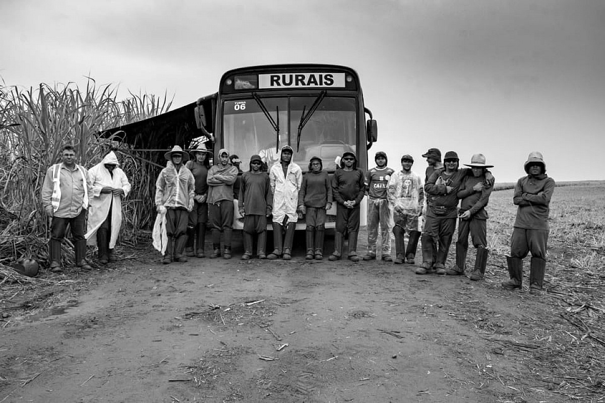 Exposição fotográfica aborda cotidiano do trabalhador rural Exposição fotográfica aborda cotidiano do trabalhador rural