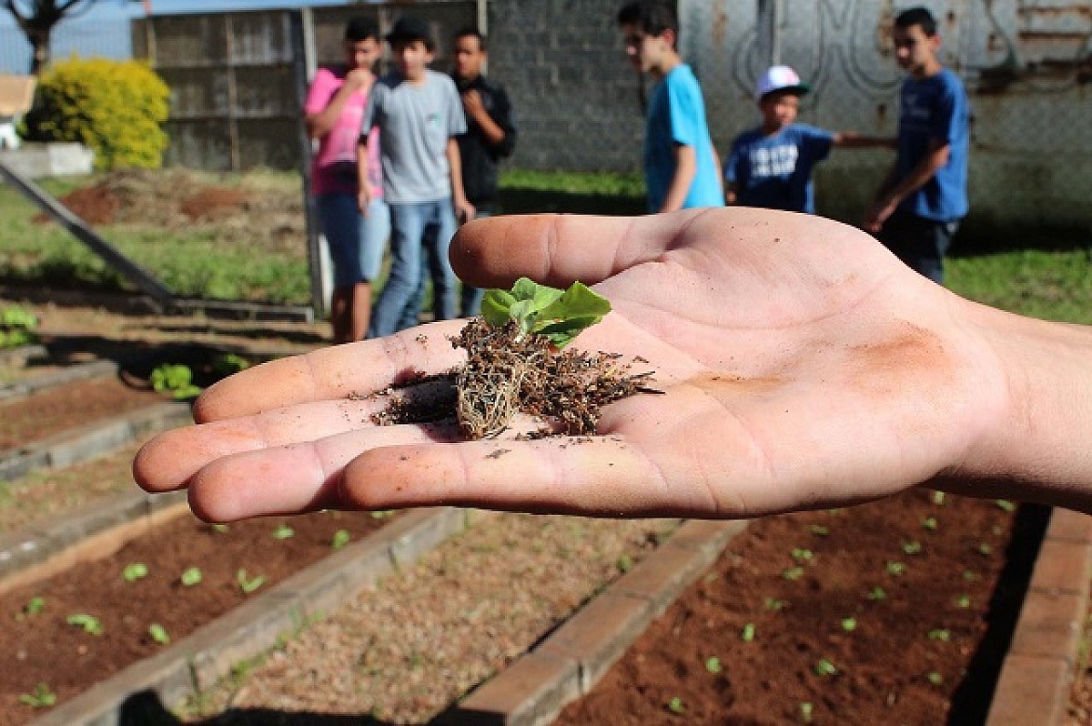 Inscrições abertas para o Jovem Agricultor do Futuro Inscrições abertas para o Jovem Agricultor do Futuro