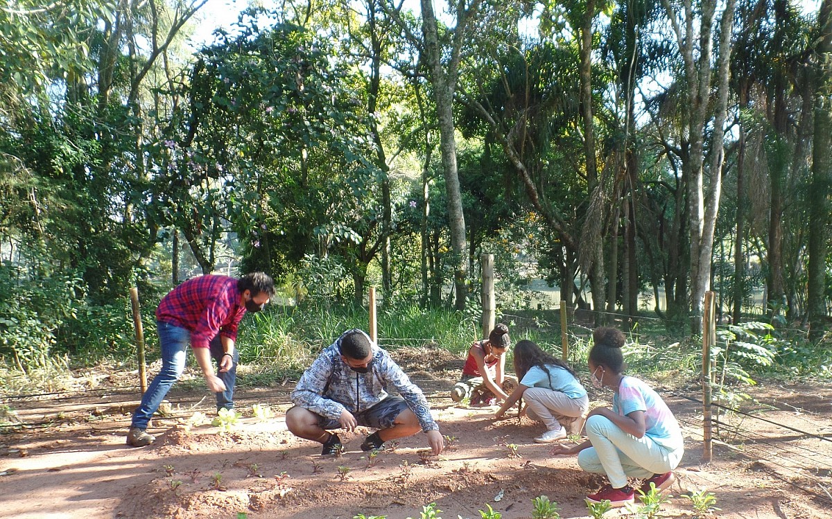 Projeto do Meio Ambiente cria horta orgânica no Horto Florestal