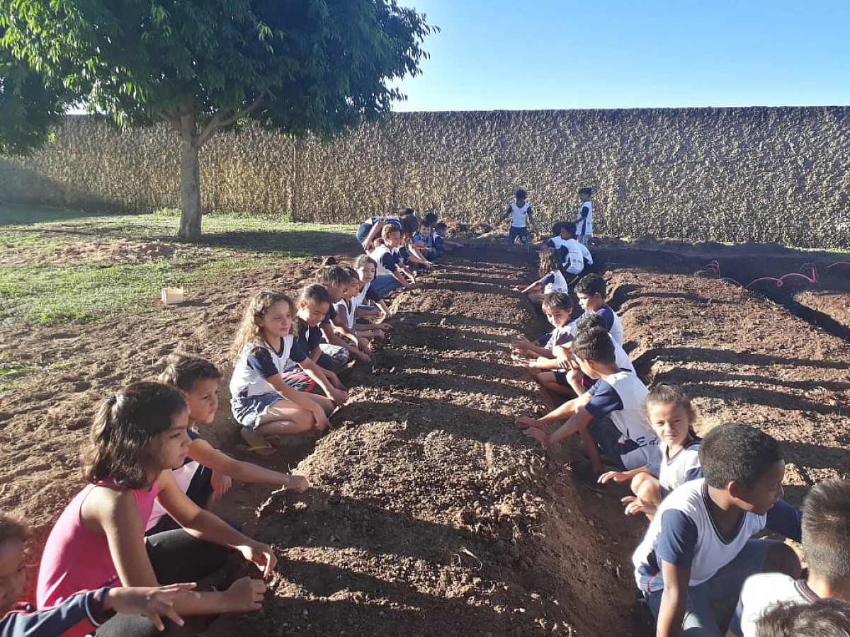Projeto Horta Educativa mobiliza alunos e pais da escola “Carlos Papa” Projeto Horta Educativa mobiliza alunos e pais da escola “Carlos Papa”