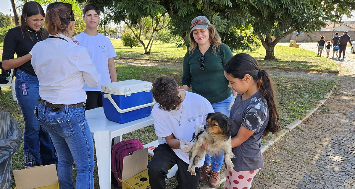 Vacinação antirrábica para cães e gatos será realizada no Largo São João